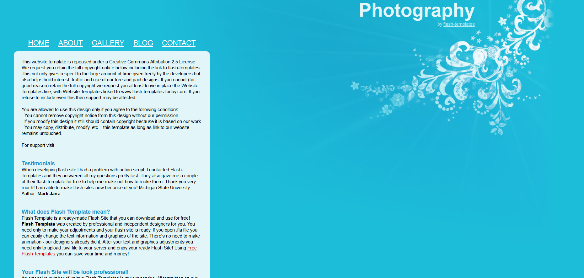 Шаблон сайта Персональные №304